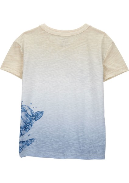 Küçük Erkek Çocuk Tshirt fiyatları