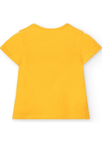 Kız Çocuk Tişört fiyatları