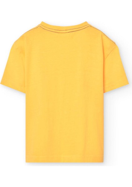 Erkek Çocuk Tshirt fiyatları