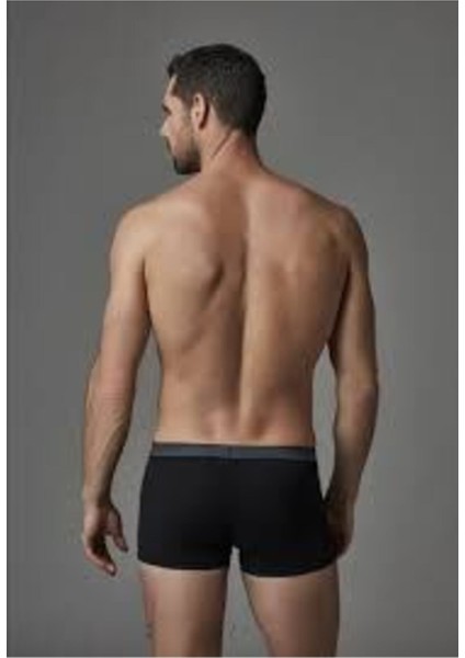 Erkek 4210 Micro Modal Boxer fiyatları