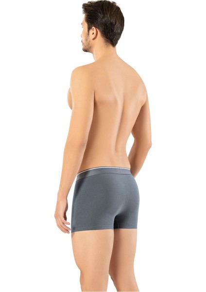 Erdem Erkek 1445 Pamuk Elastan Klasik Boxer 2 Adet fiyatları