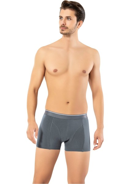 Erdem Erkek 1445 Pamuk Elastan Klasik Boxer 2 Adet modelleri