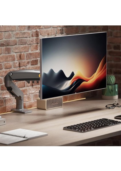 North Bayou Nb F80 17-30 " LCD / LED Monitör Tutucu Kol Vesa Monitör Standı 2-9 kg Yeni Model