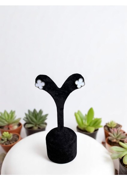 Beyaz Yapraklı Yonca Çelik Küpe CNS092-4