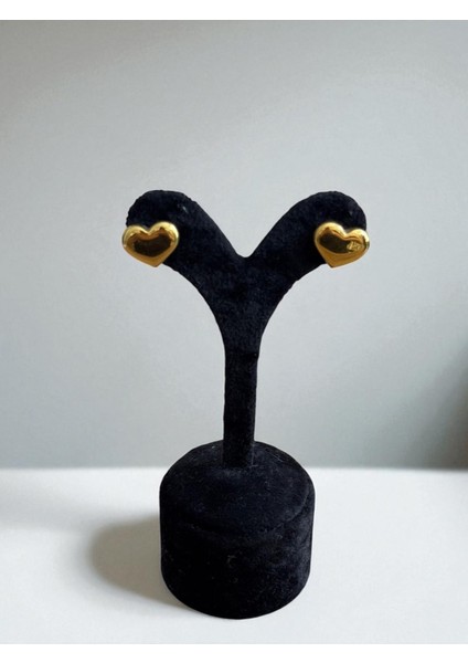 Paslanmaz Çelik Kalpli Küpe CNS007-4