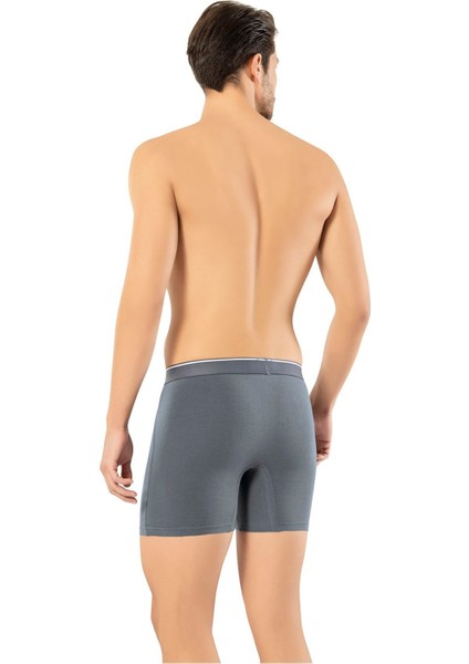 Erdem Erkek 1470 Pamuk Elastan Uzun Boxer 2 Adet modelleri