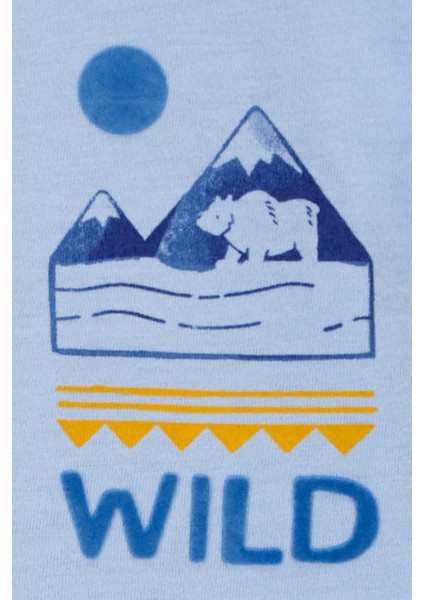 Küçük Erkek Çocuk Uzun Kollu Tshirt modelleri