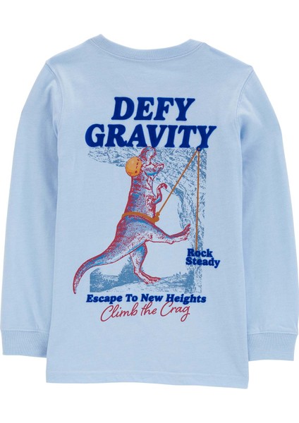 Erkek Çocuk Uzun Kollu Tshirt fiyatları