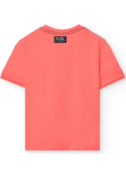 Erkek Çocuk Tshirt fiyatları