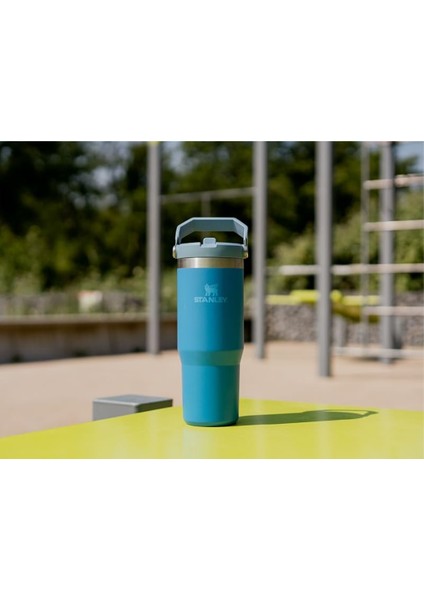 Iceflow Flip Straw Pipetli Termos Bardak, 0.88 Litre, Turuncu/mürdüm(Tigerlily Plum) modelleri