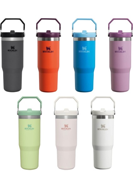 Iceflow Flip Straw Pipetli Termos Bardak, 0.88 Litre, Turuncu/mürdüm(Tigerlily Plum)