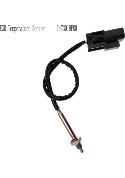 Nissan Infiniti Mercury 240SX 300ZX Altima D21 Frontier Maxima Pickup Pathfinder Için Egr Sıcaklık Sensörü (Yurt Dışından) fırsatları