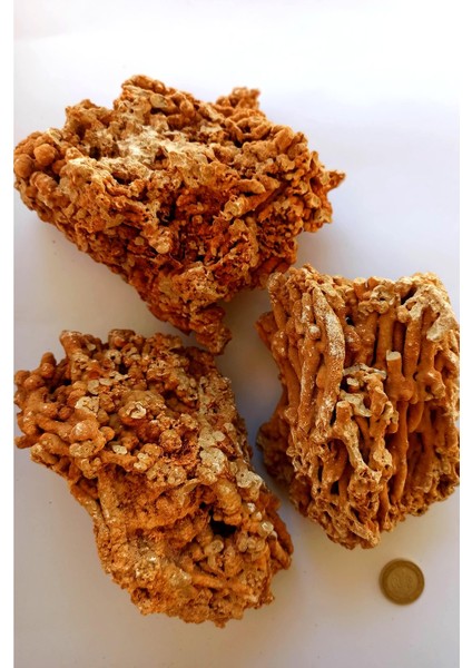 Doğal Makarna Kayası,spaghetti Kayası 6-12CM 3 Adet