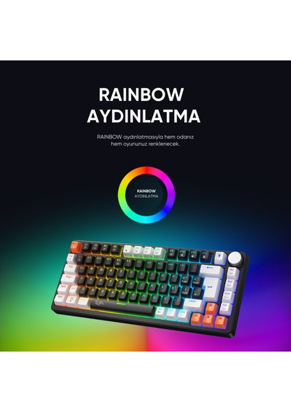 Strike Compact Red Switch Mekanik Klavye Hot Swap Anti Ghosting Türkçe Örgü Kablo Oyuncu Klavyesi modelleri