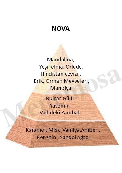 Nova Unisex Parfüm Zenıth Edition 90 ml Floral - MNMS90MLNOVA fiyatları