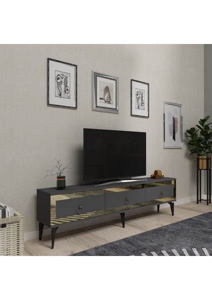 Ponnyct 180 cm Tv Sehpası Antrasit Altın fiyatları