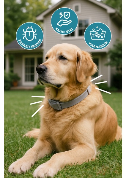 Köpek Pire Kene Tasması Bit Pire Kene Parazit Önleyici Ayarlanabilir Doğal Tasma 62 cm Kedi Tasması fırsatları