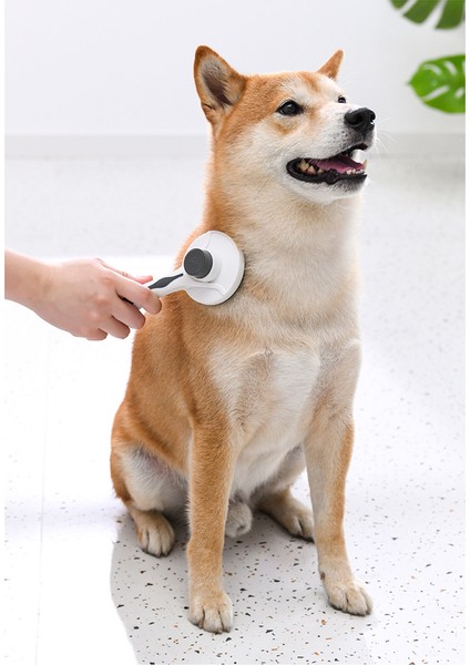 Evcil Hayvan Temizlik Malzemeleri Taşınabilir Evcil Hayvan Tarak (Yurt Dışından) modelleri