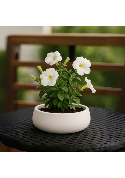 Lümin Modern Beyaz Dekoratif Kase – El Yapımı Minimalist Tasarım