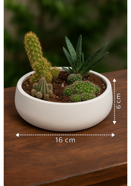 Lümin Modern Beyaz Dekoratif Kase – El Yapımı Minimalist Tasarım fiyatları