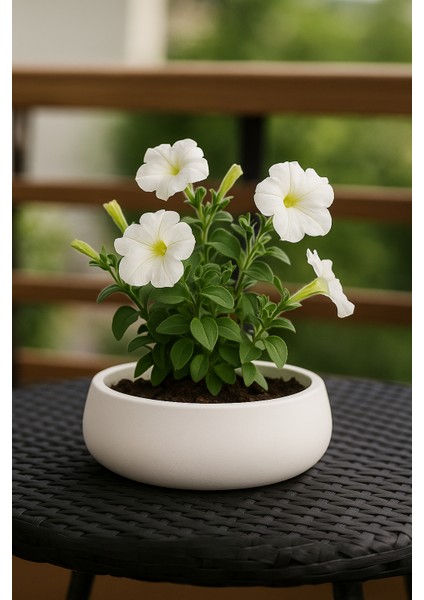 Lümin Modern Beyaz Dekoratif Kase – El Yapımı Minimalist Tasarım