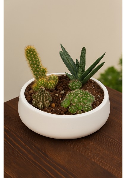 Lümin Modern Beyaz Dekoratif Kase – El Yapımı Minimalist Tasarım