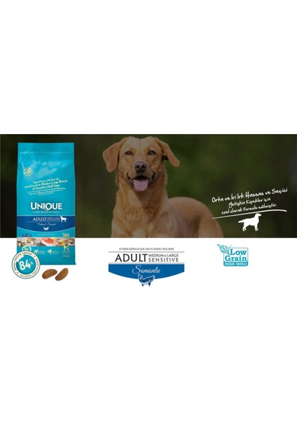 Sensitive Orta ve Iri Irk Yetişkin Köpek Maması Somonlu 12 kg fiyatları