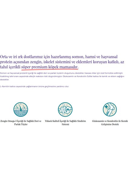 Sensitive Orta ve Iri Irk Yetişkin Köpek Maması Somonlu 12 kg modelleri