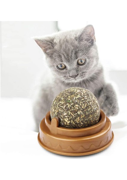 Kedi Nanesi Oyun Topu fırsatları