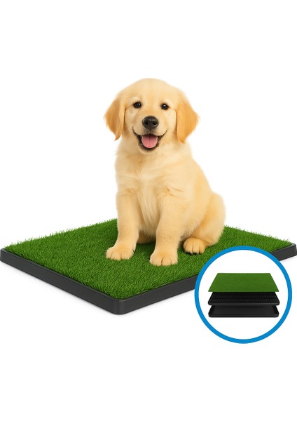 Yavru Köpek Tuvalet Eğitim Pedi – 3 Katlı Çim Görünümlü Pet Tuvaleti fırsatları