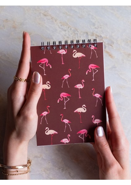 5'li Kırmızı Çizgisiz Defter Seti 10.5 x 14.9 cm – Taşınabilir, Şık ve Günlük Kullanıma Uygun