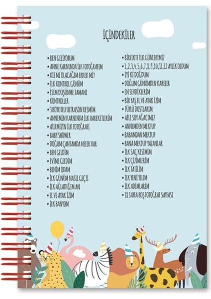 Hoş Geldin Bebeğim Anı Defteri – Renkli Bulut Desenli Sert Kapak, 17x24 cm Tekli