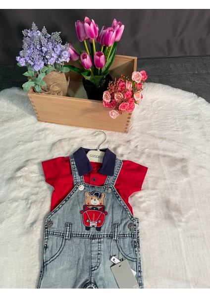 kırmızı 2'li Takım fiyatları