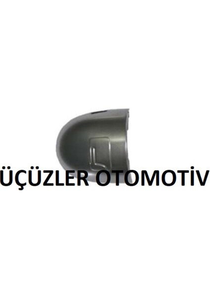 Kapı Şifre Kapağı Laguna Megane2 (Adet) 8200036411