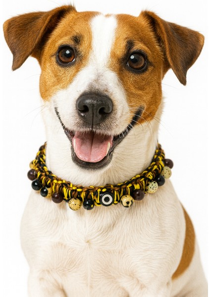 Savanna Kuçi – Kuçiko Serisi Sarı Siyah Nazar Boncuklu Köpek Kolyesi