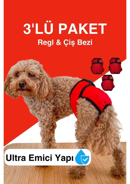 Dişi Köpekler Için Regl Külodu & Çiş Bezi