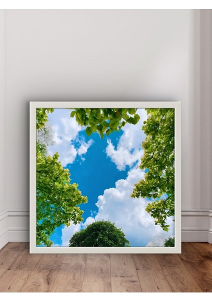 Doğanın Izleri LED Tablo – 60X60 cm | Sıva Üstü Montajlı, Tak-Çalıştır Sistem, Arapuarlı