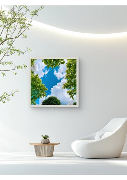 Doğanın Izleri LED Tablo – 60X60 cm | Sıva Üstü Montajlı, Tak-Çalıştır Sistem, Arapuarlı fırsatları