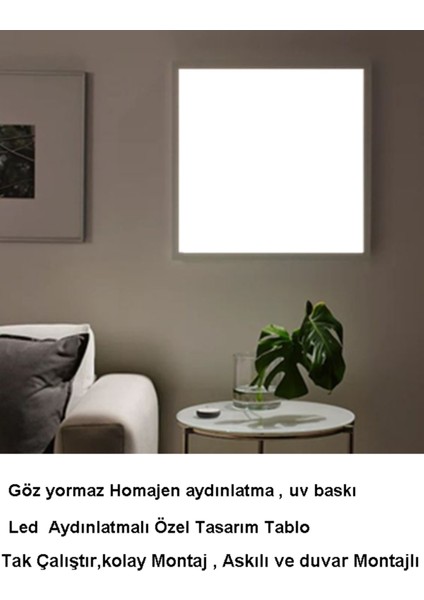 Rocky LED Tablo – 60X60 cm | Sıva Üstü Montajlı, Tak-Çalıştır Sistem, Arapuar Anahtarlı LED Tablo