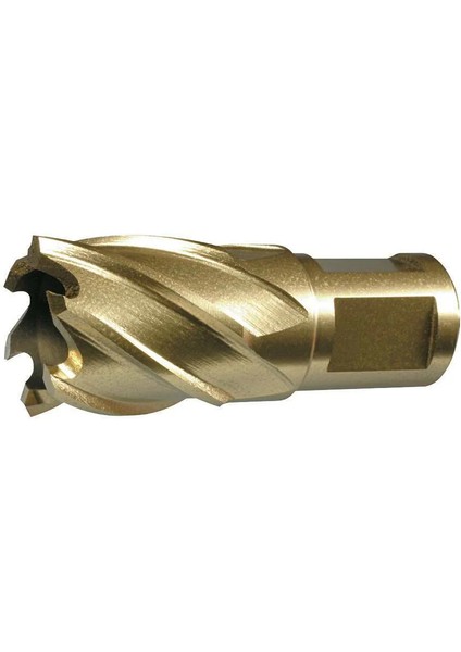 Hss-Co %5 Kobaltlı Seri Manyetik Matkap Ucu 30X25 mm