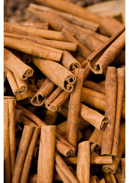 Tarçın Kabuk Deluxe Seri Organik Lezzetli 100 gr fırsatları