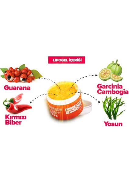 Lipo Gel Bölgesel Selulit Masaj ve Bakım Kremi Jeli 150 ml fiyatları