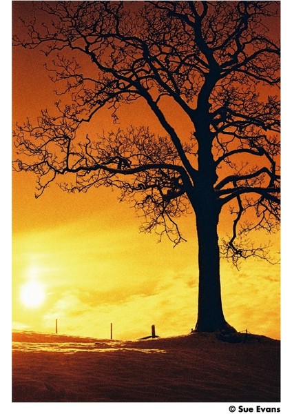 Harman Red fırsatları