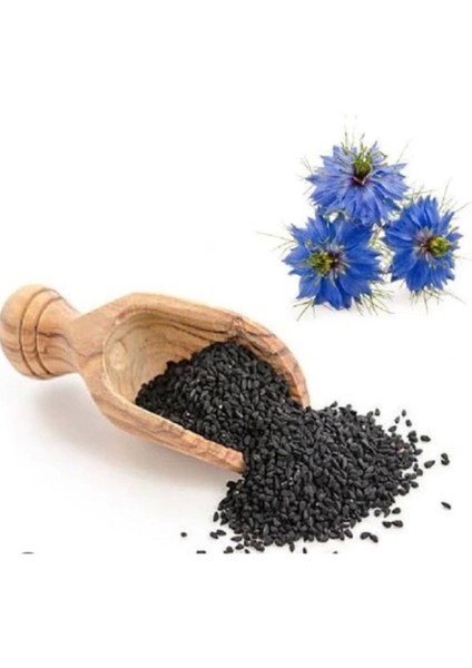 Tekno Trust Kavanoz Çörek Otu Kremi 2 Adet 100 ml fiyatları