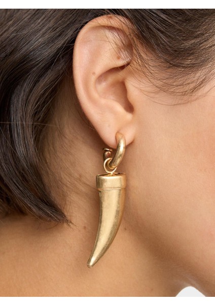 Çıkarılabilir Charm'lı Halka Küpe