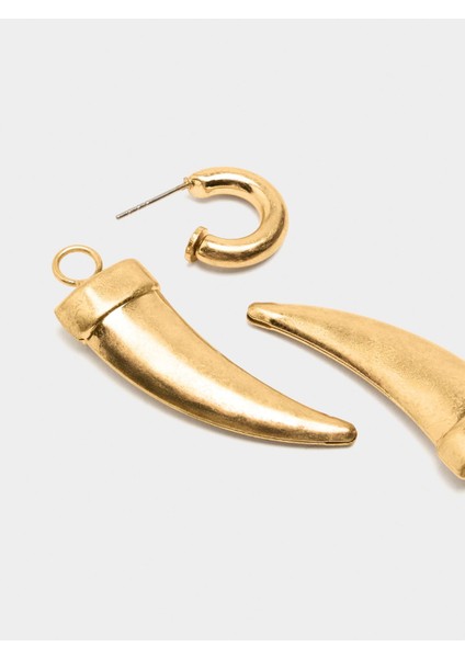 Çıkarılabilir Charm'lı Halka Küpe modelleri