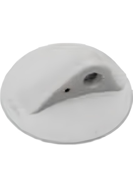 Şişme Bot Halat Geçişi Gri