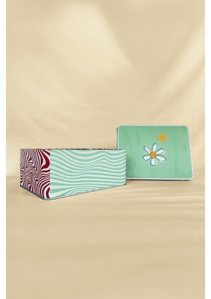 Renkli Dikdörtgen Metal Saklama Kutusu, Ev Dekoru, Çiçekli Tasarım modelleri