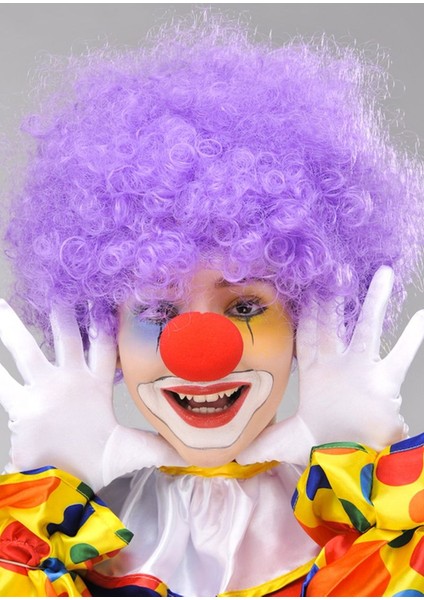 Mor Renk Kıvırcık Afro Bonus Peruk Takma Saç ve Kırmızı Burun Seti fiyatları