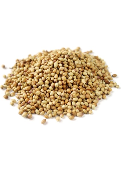 Kişniş Çekilmiş Toz Deluxe Seri Organik Lezzetli 250 gr fiyatları